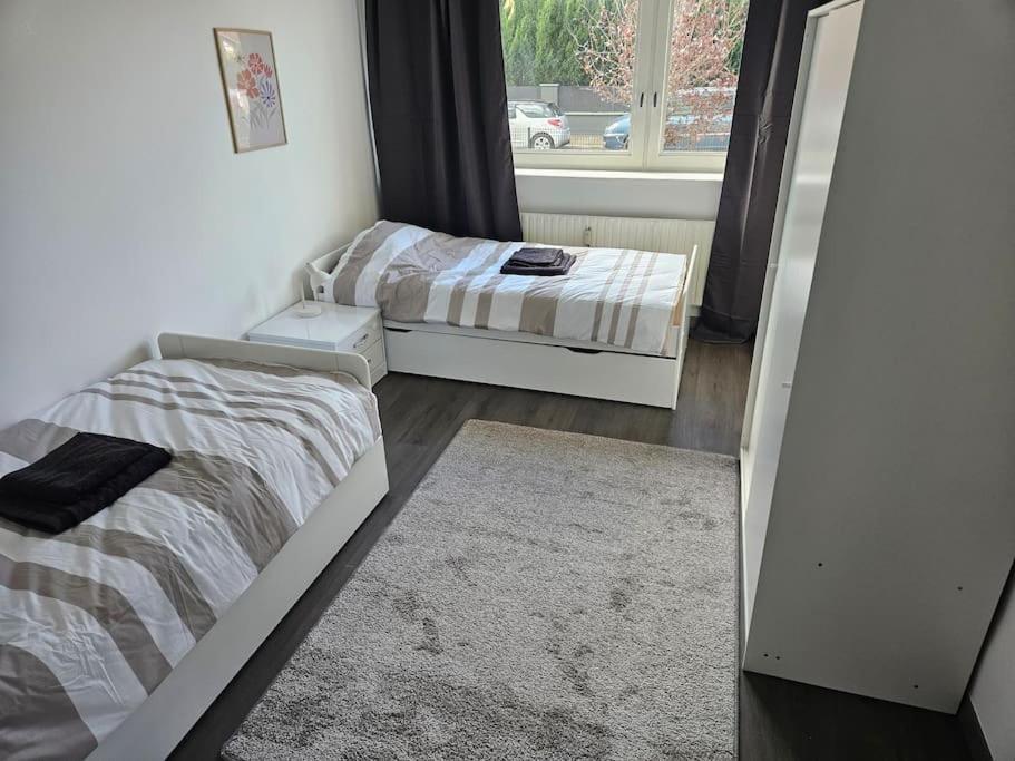 Charmant Appartement Moderne 71M2 A Illzach - Mulhouse - Parking Gratuit Eksteriør billede