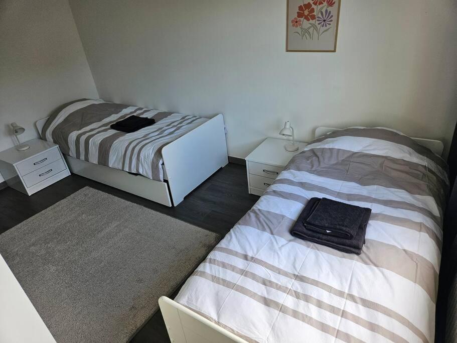 Charmant Appartement Moderne 71M2 A Illzach - Mulhouse - Parking Gratuit Eksteriør billede
